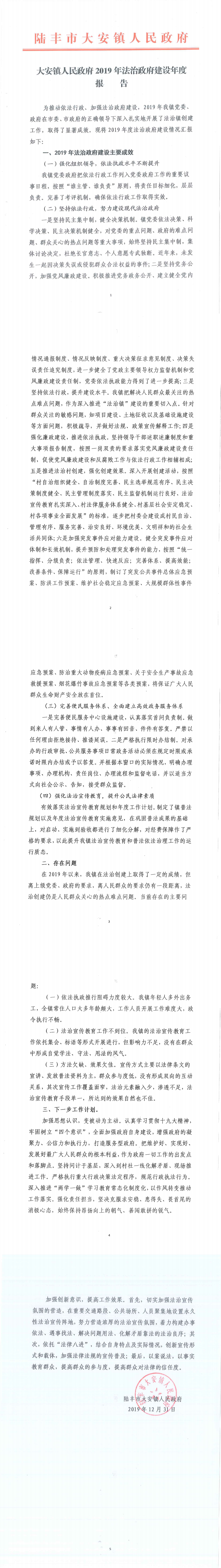 大安鎮人民政府2019年法治政府建設年度報告_0.png