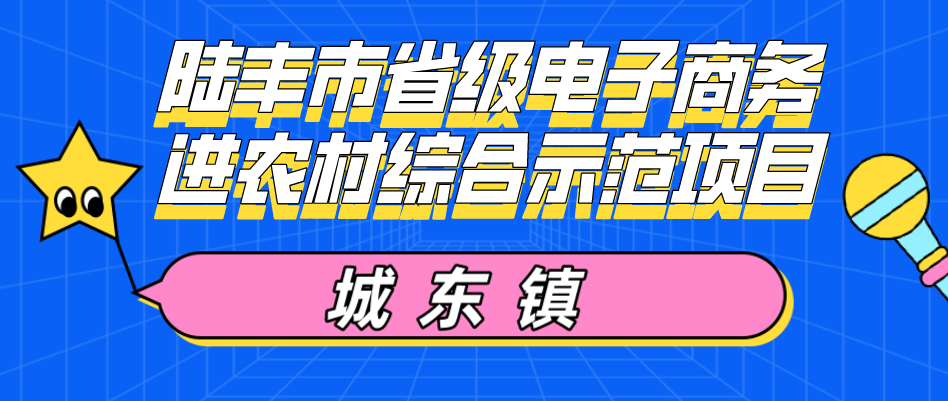 城東鎮電商培訓班.png