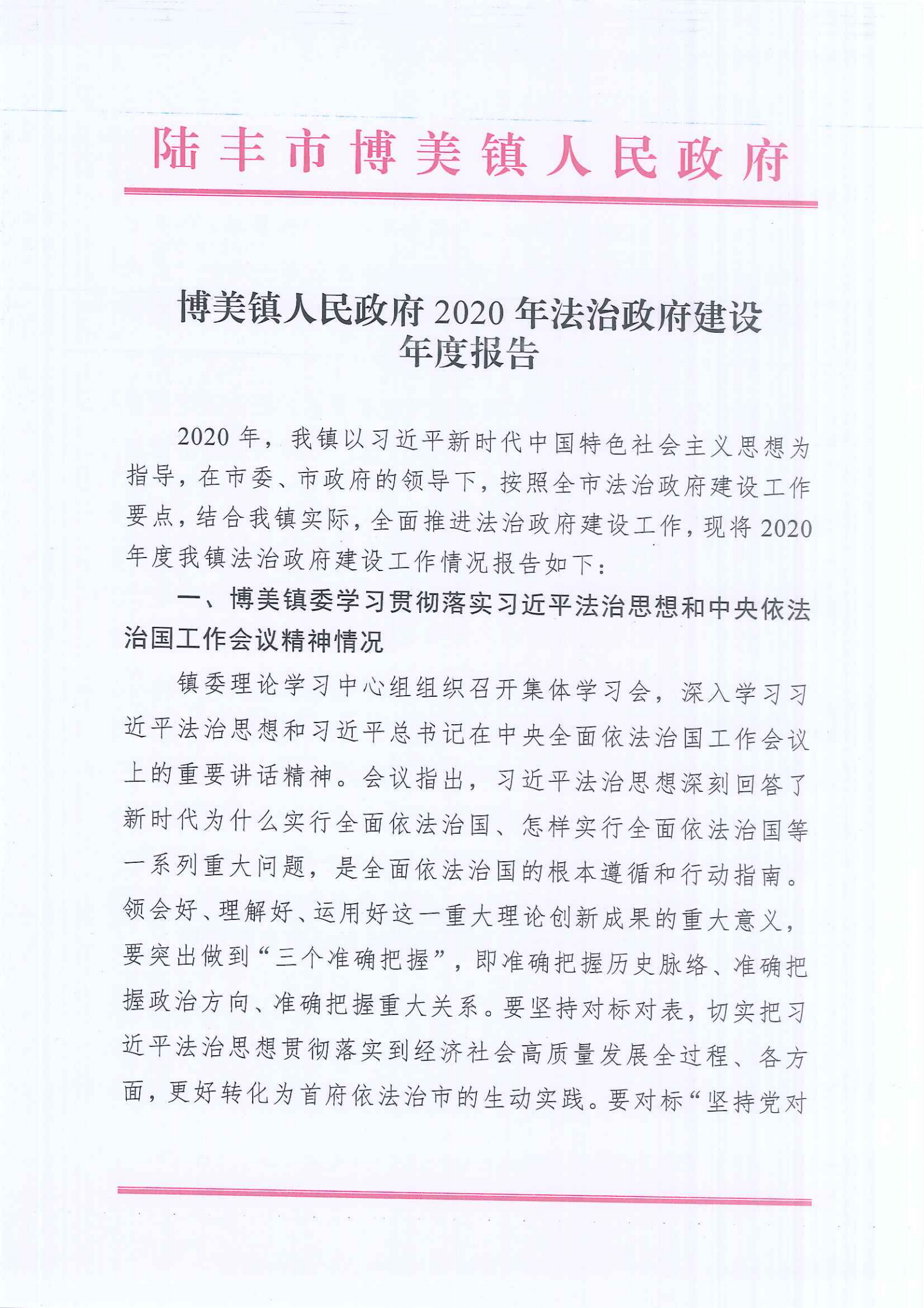 博美鎮人民政府2020年法治政府建設年度報告_00.png