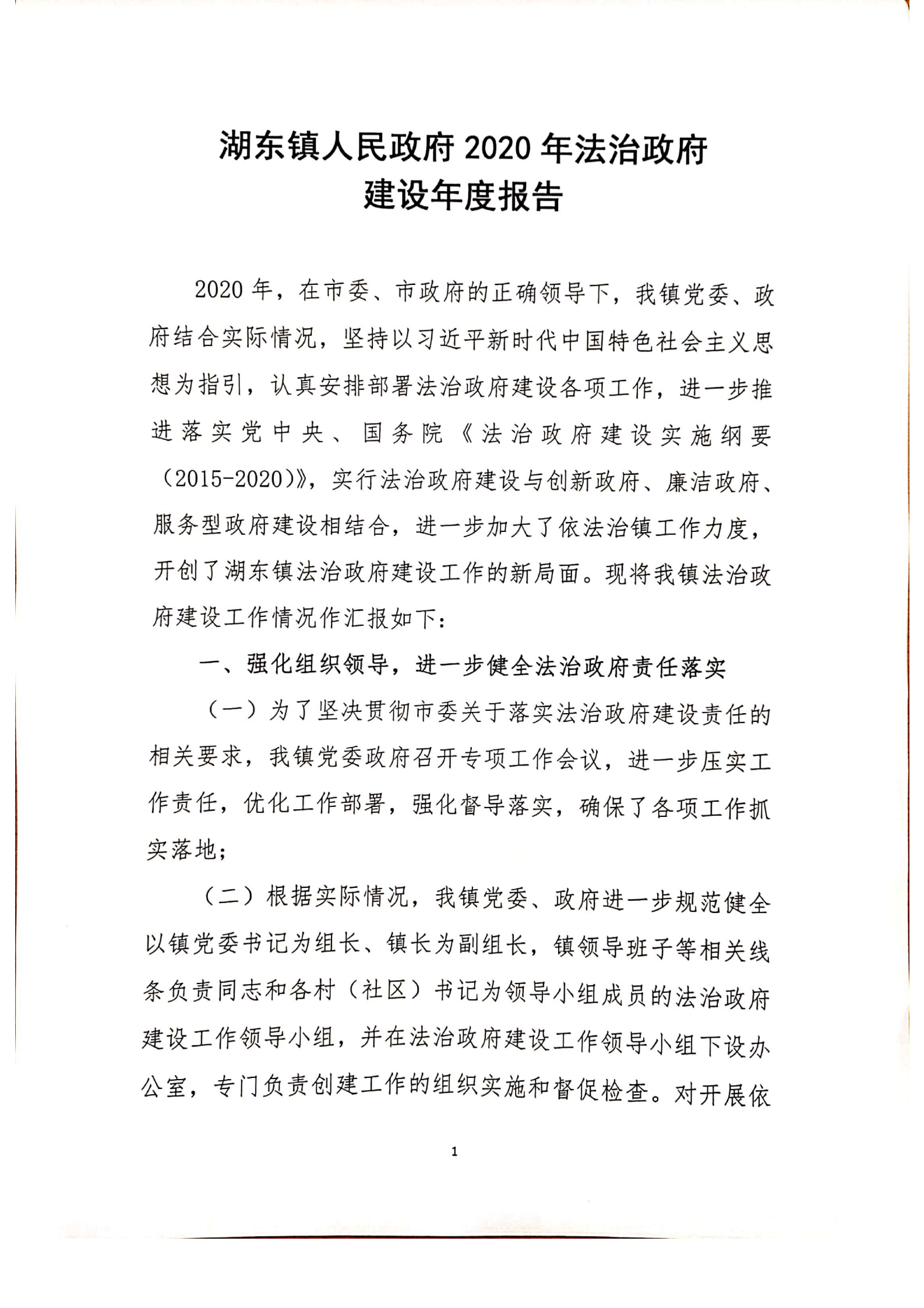 湖東鎮人民政府2020年法治政府建設年度報告_00.png