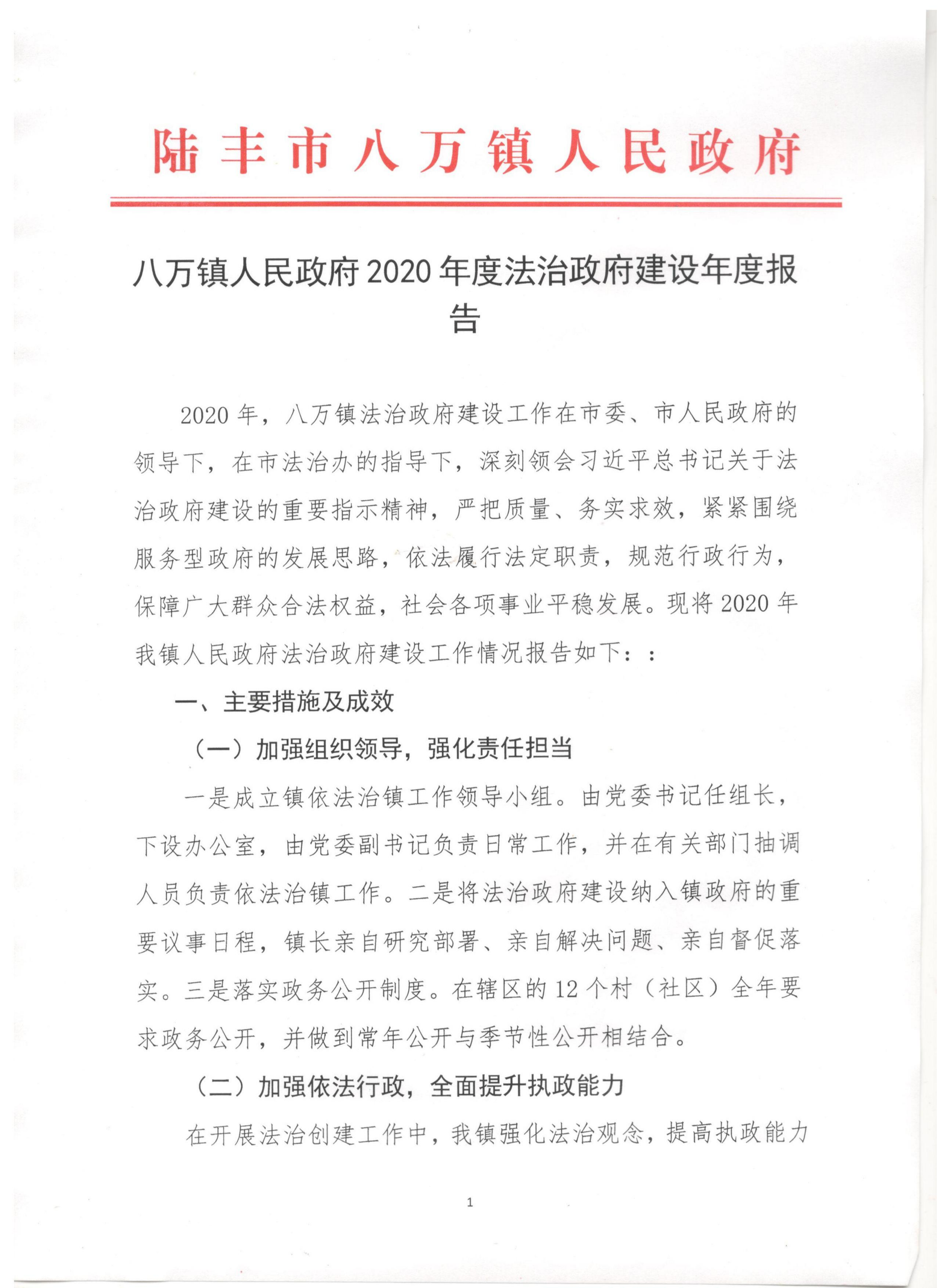 八萬鎮人民政府2020年度法治政府建設年度報告_00.png